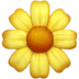🌼